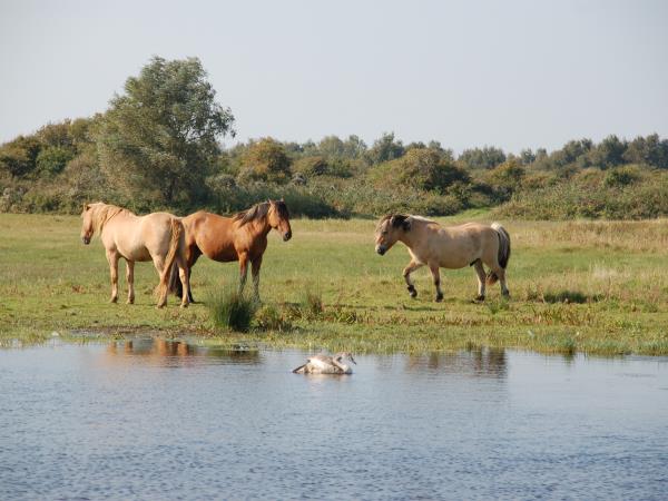 Bay of the Somme family cycling holiday, France
