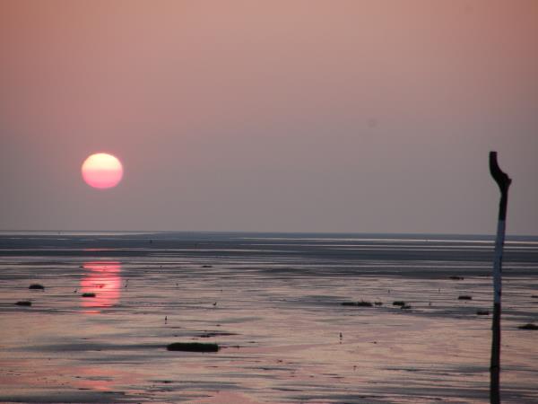 Bay of the Somme family cycling holiday, France
