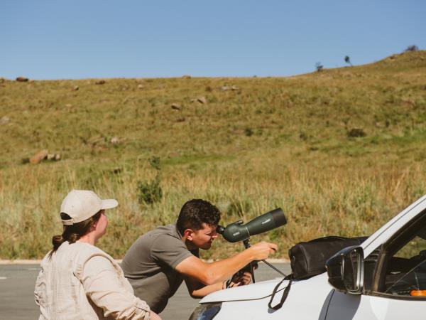 Bearded vulture conservation holiday, South Africa