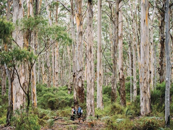 Adelaide to Perth luxury holiday in Australia