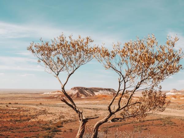 Adelaide to Uluru tours, Australia