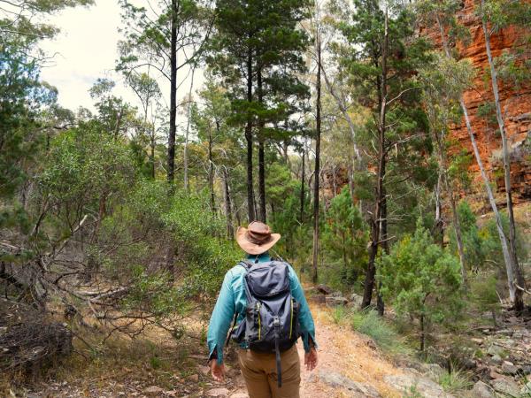 Adelaide to Uluru tours, Australia