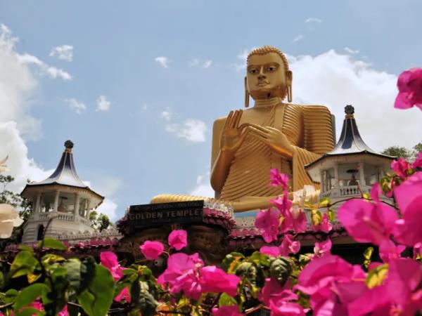 Best of Sri Lanka group tour
