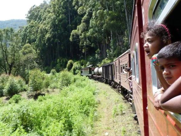 Best of Sri Lanka group tour