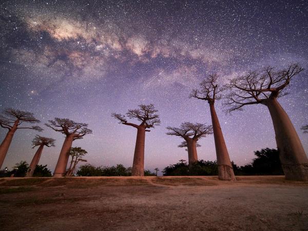 Madagascar Photography holiday