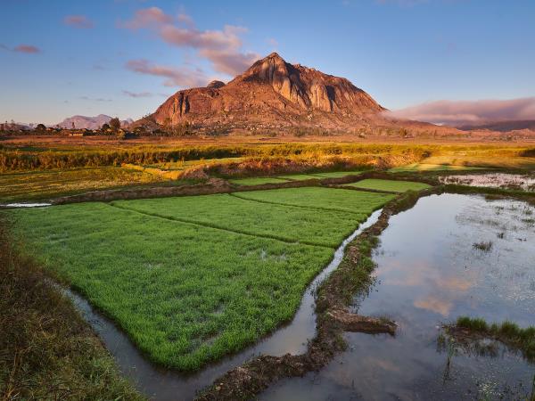 Madagascar Photography holiday