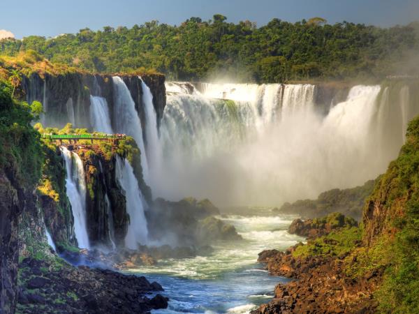 Brazil wildlife holiday, tailor made