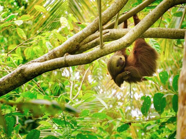 Panama Canal and Costa Rica cruise