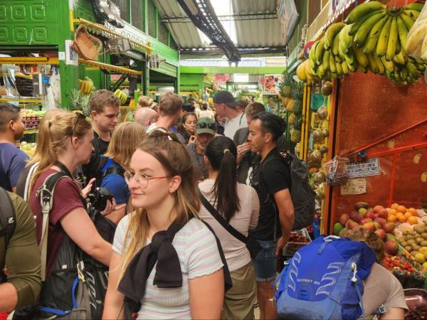 Learn Spanish in Colombia & highlights holiday