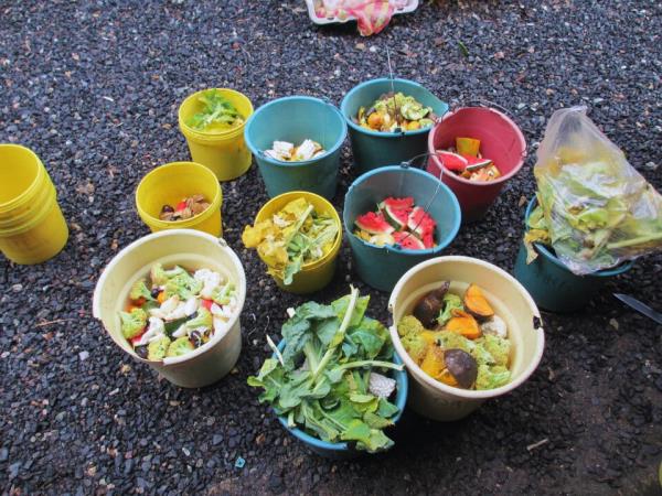 Ecuador volunteering holiday, Amazon & Galapagos