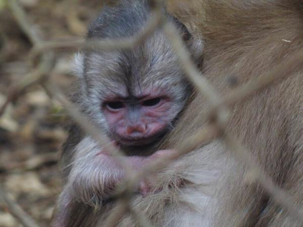 Ecuador volunteering holiday, Amazon & Galapagos