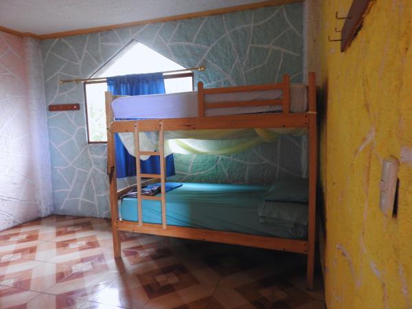 Ecuador volunteering holiday, Amazon & Galapagos