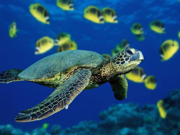 Galapagos budget adventure holiday