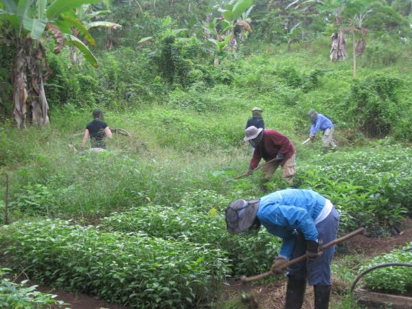 Ecuador volunteering holiday, Amazon & Galapagos
