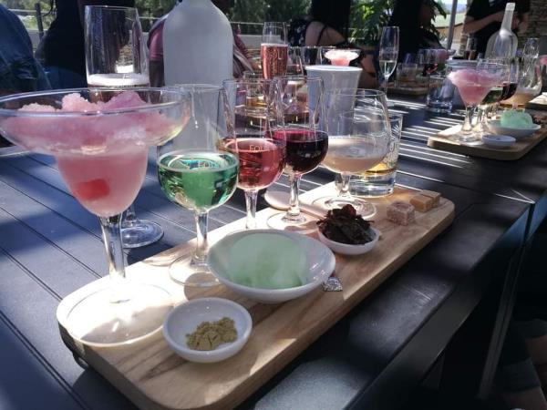 Wine and art holiday, South Africa