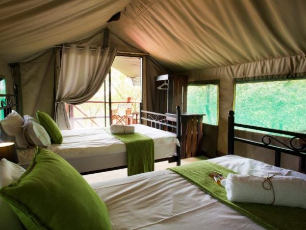 Wildlife sanctuary & rehabilitation centre, South Africa