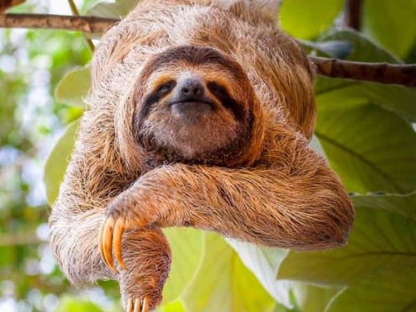 Costa Rica classic self drive holiday