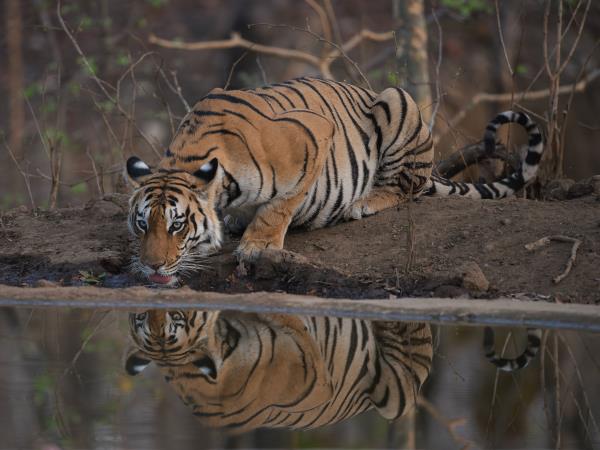 North India highlights tour