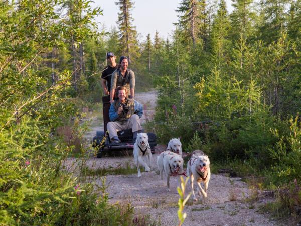 Wildlife holiday in Manitoba, Canada