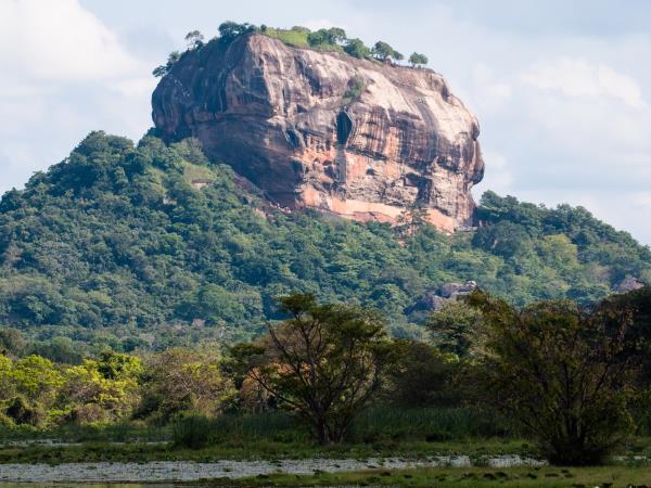 Sri Lanka birding & cultural tour