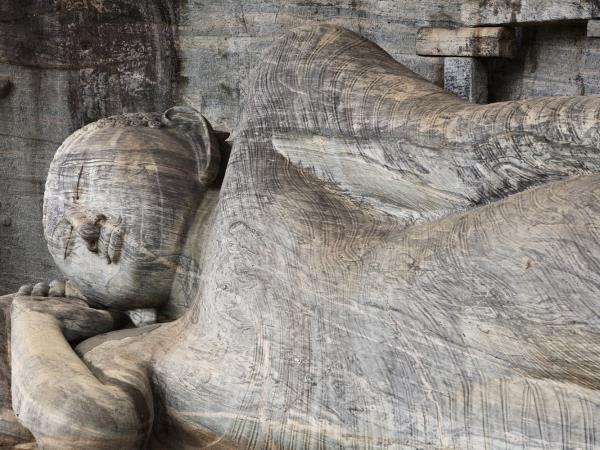 Sri Lanka birding & cultural tour