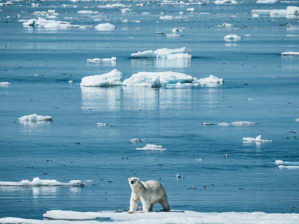 Complete Northwest Passage cruise, 4 weeks