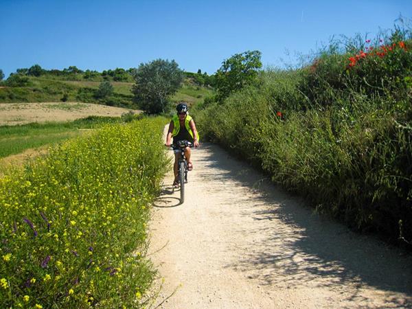 Camino de Santiago cycling holidays from Porto