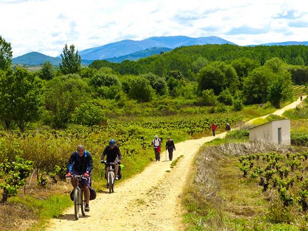 Camino de Santiago cycling holidays from Porto