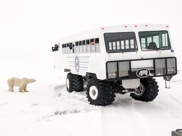 Churchill Polar bear adventure, Canada