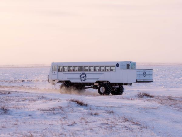 Churchill Polar bear adventure, Canada