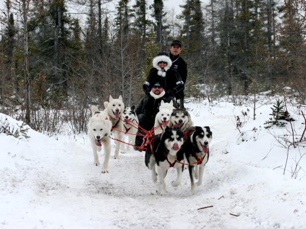 Churchill Polar bear adventure, Canada
