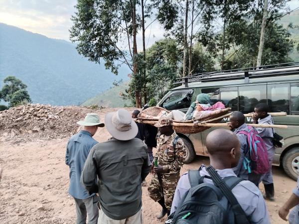 Tailor made gorilla and chimp tracking safari, Uganda