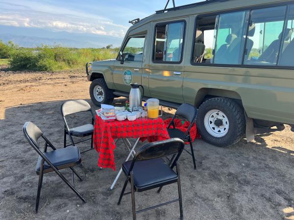Luxury gorilla tracking by road, Uganda