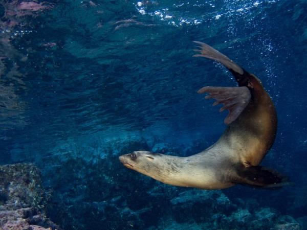 Galapagos Islands multi activity holiday