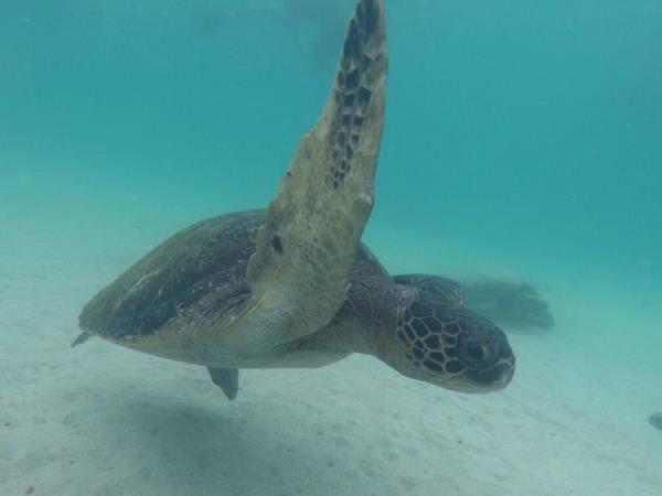 Galapagos Islands multi activity holiday