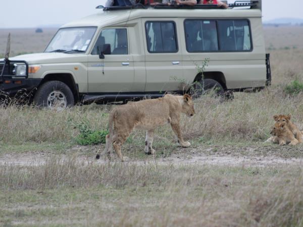East Africa wildlife tour for families