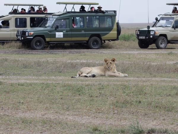 Gorillas and Masai Mara wildlife holiday