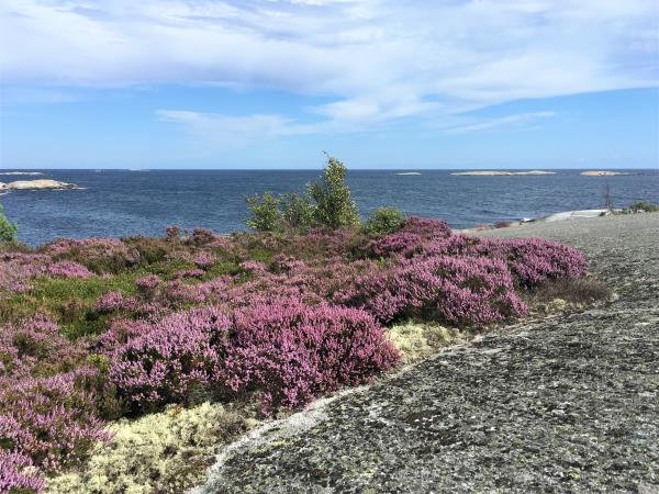 Stockholm archipelago self-guided walking tour