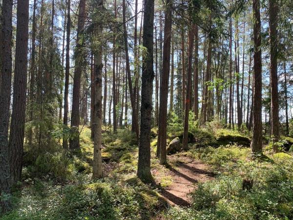 Stockholm archipelago self-guided walking tour