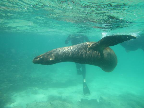 Galapagos tailor made adventure holiday