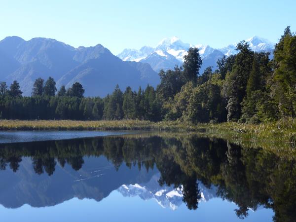 New Zealand conservation volunteering
