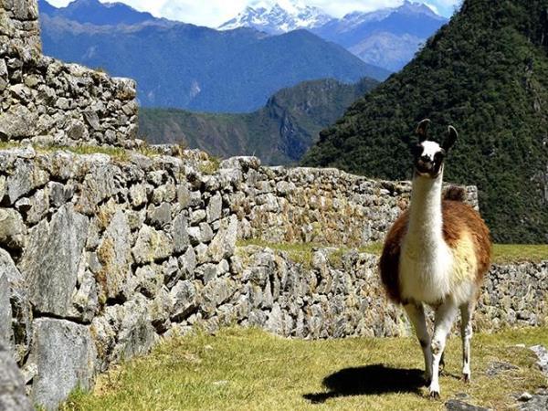 Salkantay Trek to Machu Picchu, 5 days