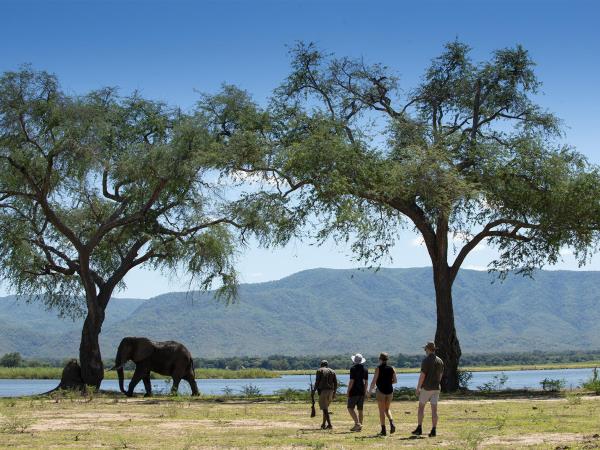 Zimbabwe canoe safari 
