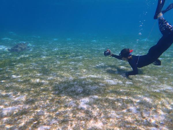 Maldives turtle conservation snorkeling cruise