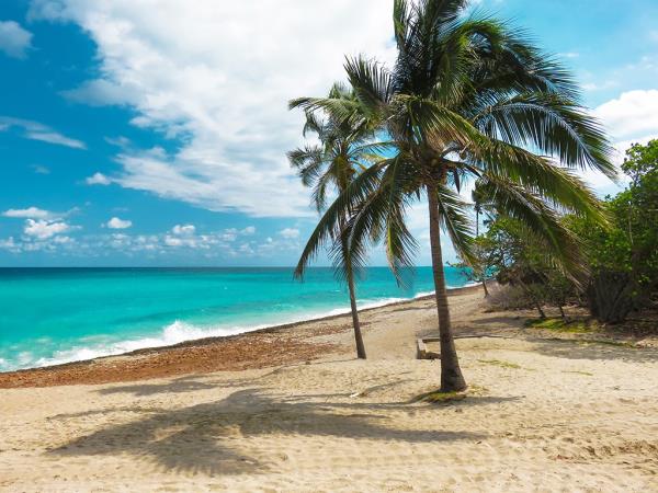 Western Cuba tailor made holiday, 12 days