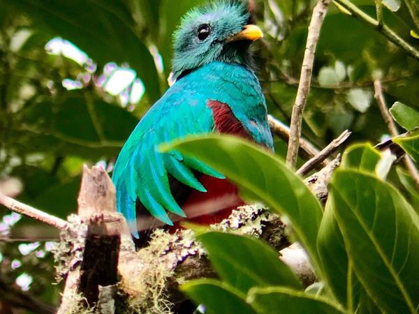 Costa Rica tailor made holiday, highlights
