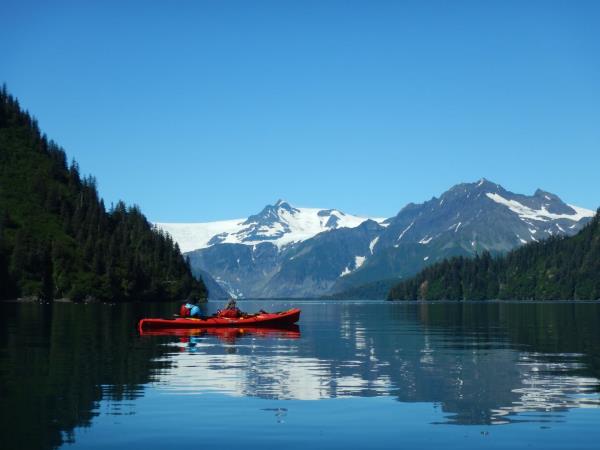 Alaska classic tour, glaciers and grizzly bears