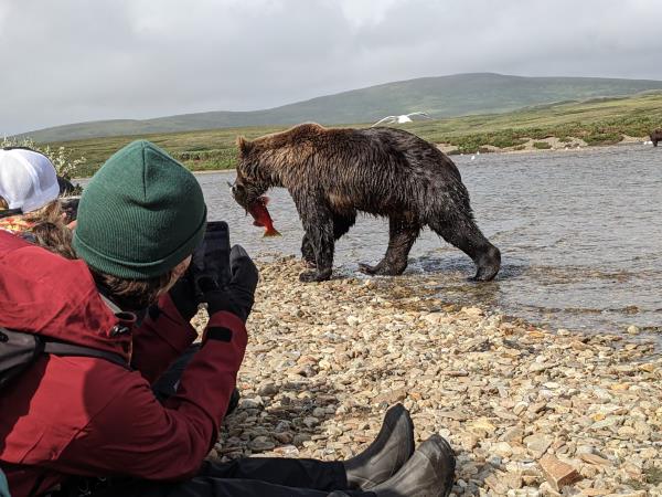 Alaska classic tour, glaciers and grizzly bears