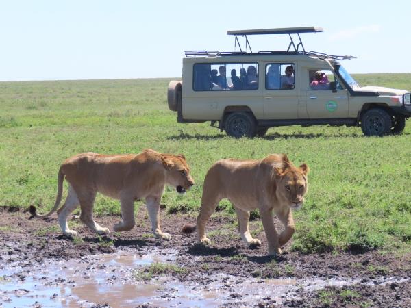 Tanzania wildlife adventure