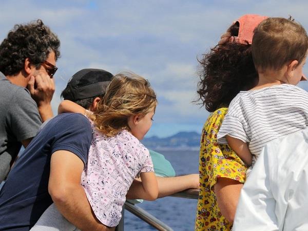 Blue whale Azores family holiday